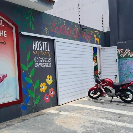 "Le Chat Qui Peche" Hostel A 150 Metros Da Praia De Pajucara Maceió Zewnętrze zdjęcie